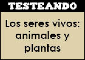 Los seres vivos: animales y plantas | Recurso educativo 351236