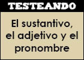 El sustantivo, el adjetivo y el pronombre | Recurso educativo 351418