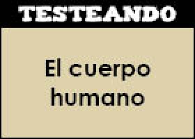 El cuerpo humano | Recurso educativo 352287