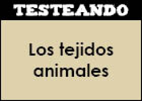 Los tejidos animales | Recurso educativo 353027