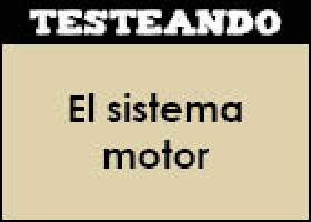 El sistema motor | Recurso educativo 353038