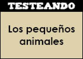 Los pequeños animales | Recurso educativo 353165