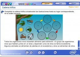 Cómo funcionan las cadenas alimentarias y los ecosistemas | Recurso educativo 500114