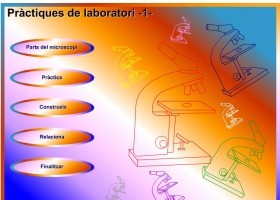 Microscopi | Recurso educativo 500230