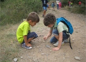 Perquè cal treballar el gust per aprendre.  | Recurso educativo 627830