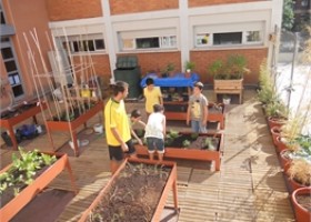 La escritura en un proyecto de agroecología escolar. "La recuperación del huerto | Recurso educativo 677897