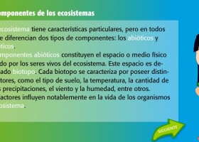 ¿Cuáles son los componentes de un ecosistema? | Recurso educativo 680494