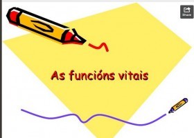 As FuncióNs Vitais | Recurso educativo 683739