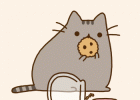 gatito.gif | Recurso educativo 684527