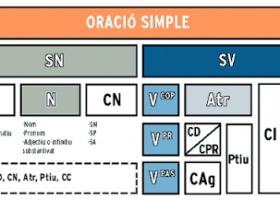 Treballem la llengua i literatura catalanes: L'oració simple. | Recurso educativo 686445