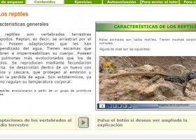 Características generales de los reptiles | Recurso educativo 724768