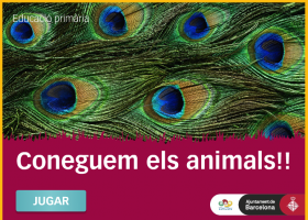 Coneguem els animals!! - Zoo de Barcelona - Ed. Primària | Recurso educativo 725936