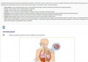 O aparello respiratorio | Recurso educativo 737556