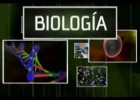 biología origen de la vida | Recurso educativo 737681