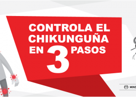 Fiebre chikunguña virus chikungunya | Recurso educativo 739506