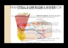 ESTRUCTURA DE LA TERRA, ELS DOS MODELS | Recurso educativo 739664