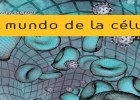 El mundo de la célula por Becker descargable - Instituto de Tecnologías | Recurso educativo 741132