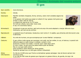 Animals del nostre entorn: Mamífers - El gos | Recurso educativo 742148