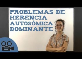 Problemas de herencia autosómica dominante | Recurso educativo 742597