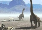 Un meteorito mató a los dinosaurios | Recurso educativo 744779