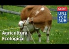 Agricultura ecològica: els secrets de la naturalesa | Recurso educativo 745106