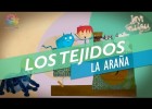 Los tejidos y la araña | Recurso educativo 747871