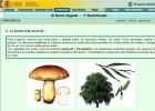 La nutrició vegetal | Recurso educativo 754721