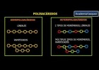 Polisacàrids | Recurso educativo 757436