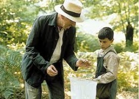 La lengua de las mariposas. Hay aprendizajes que no se olvidan...Imágenes de | Recurso educativo 760422