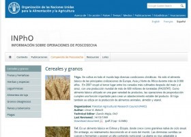 Cereais e grans | Recurso educativo 761495