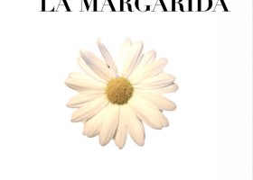 LA MARGARIDA NO ÉS UNA FLOR | Recurso educativo 756622