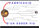 LA FÀBRICA D'UN ÉSSER VIU | Recurso educativo 738003