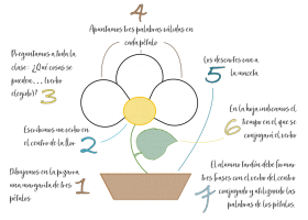 Actividad 5 Primeros Minutos (5PM): la flor de las colocaciones | Recurso educativo 772692