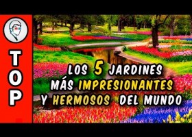 Els jardins més bonics del món | Recurso educativo 774423