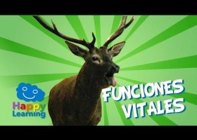 Les funcions vitals | Recurso educativo 774644