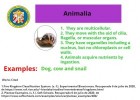 animalia.jpg | Recurso educativo 781289