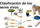 Primer Tema de la clase El origen de los sistemas de clasificación.pptx | Recurso educativo 782475