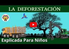 Deforestación | Recurso educativo 787489