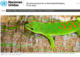 La biodiversidad | Recurso educativo 788182