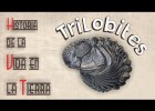 Trilobits | Recurso educativo 788429