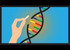 ¿Qué es CRISPR/Cas9? | Recurso educativo 788594