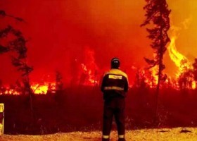 Noticias de la BBC sobre la impactante cantidad de árboles calcinados en un mi | Recurso educativo 789943