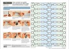 Com construir un model de l'estructura d'ADN | Recurso educativo 790079