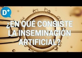 En que consiste a inseminación artificial? | Recurso educativo 7901615