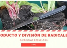 Producto y división de radicales - ejercicios resueltos | Recurso educativo 7903200