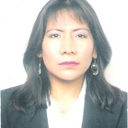 nancy alejandra julca sosa